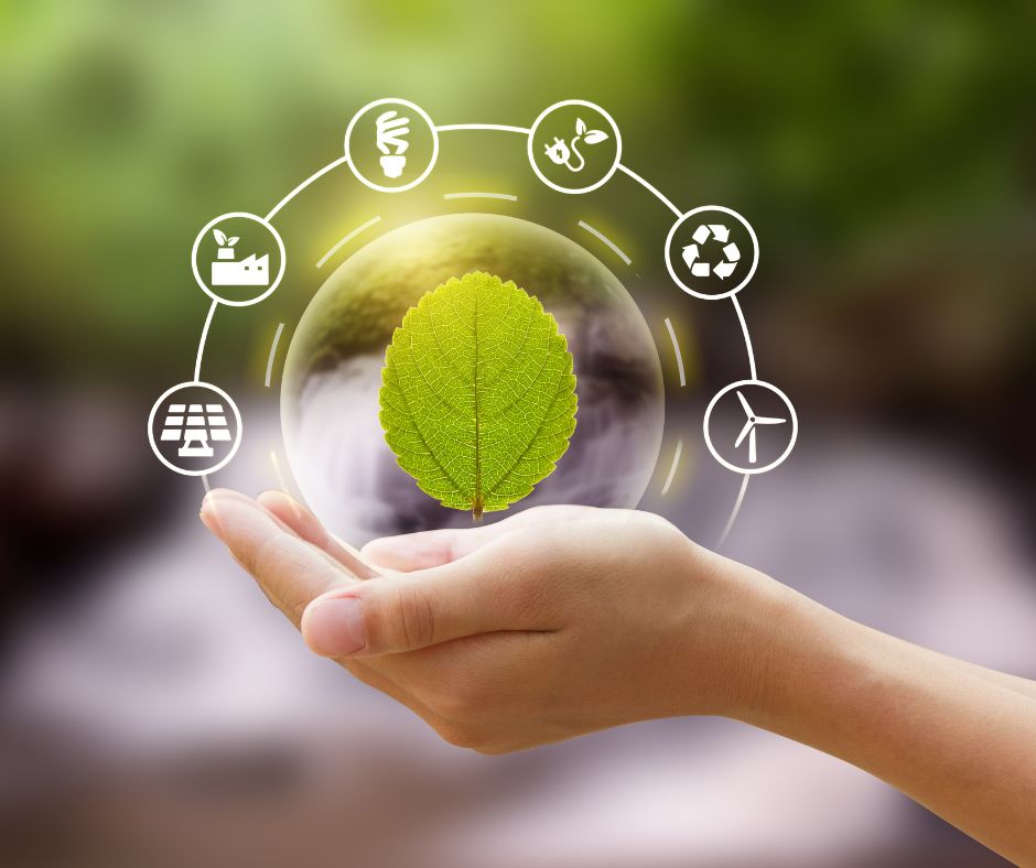 ai for sustainability