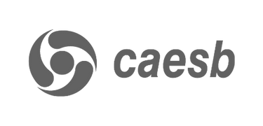 Caesb Logo